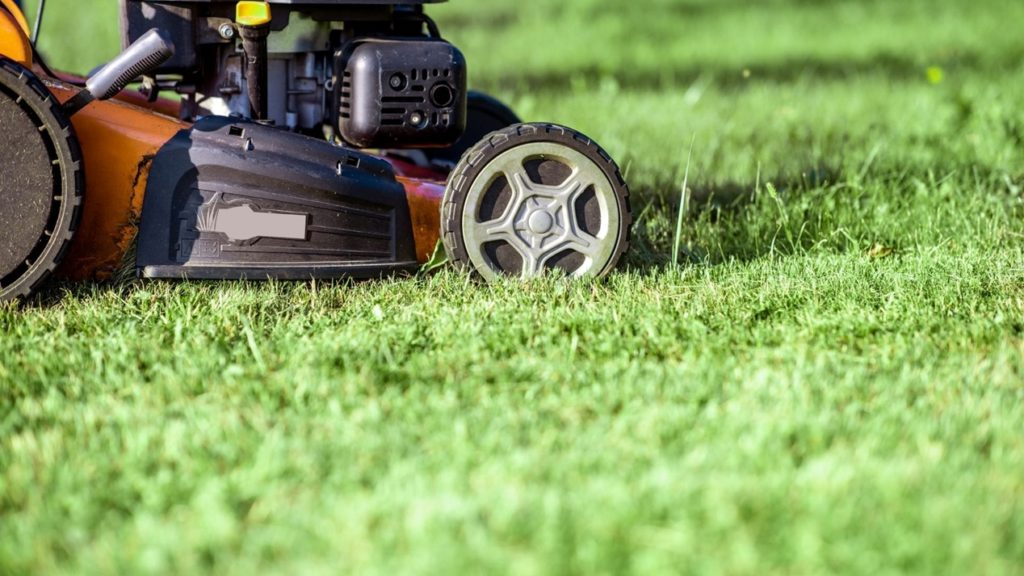 Top 3 Tips for Lawn Care after Aeration and Seeding Aeration and Seeding