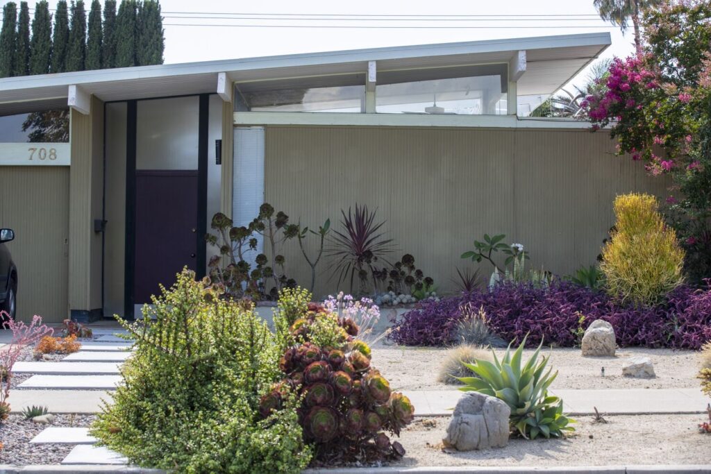 What Are Some Ways You Can Fight The Mosquitoes That Plague Your Backyard?